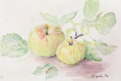 Apples